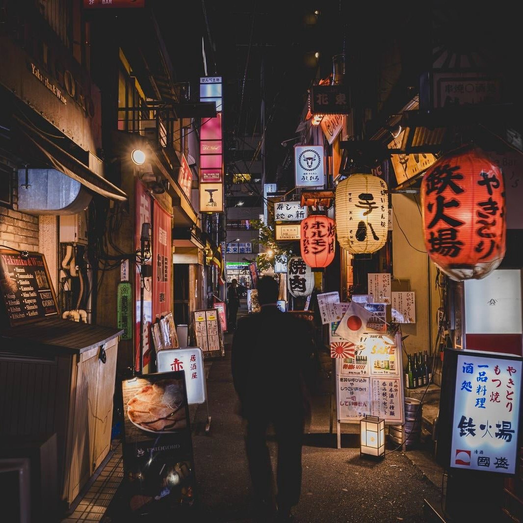 Tokyo After Dark Food Walk (4 hrs) – Private Guide & Photos