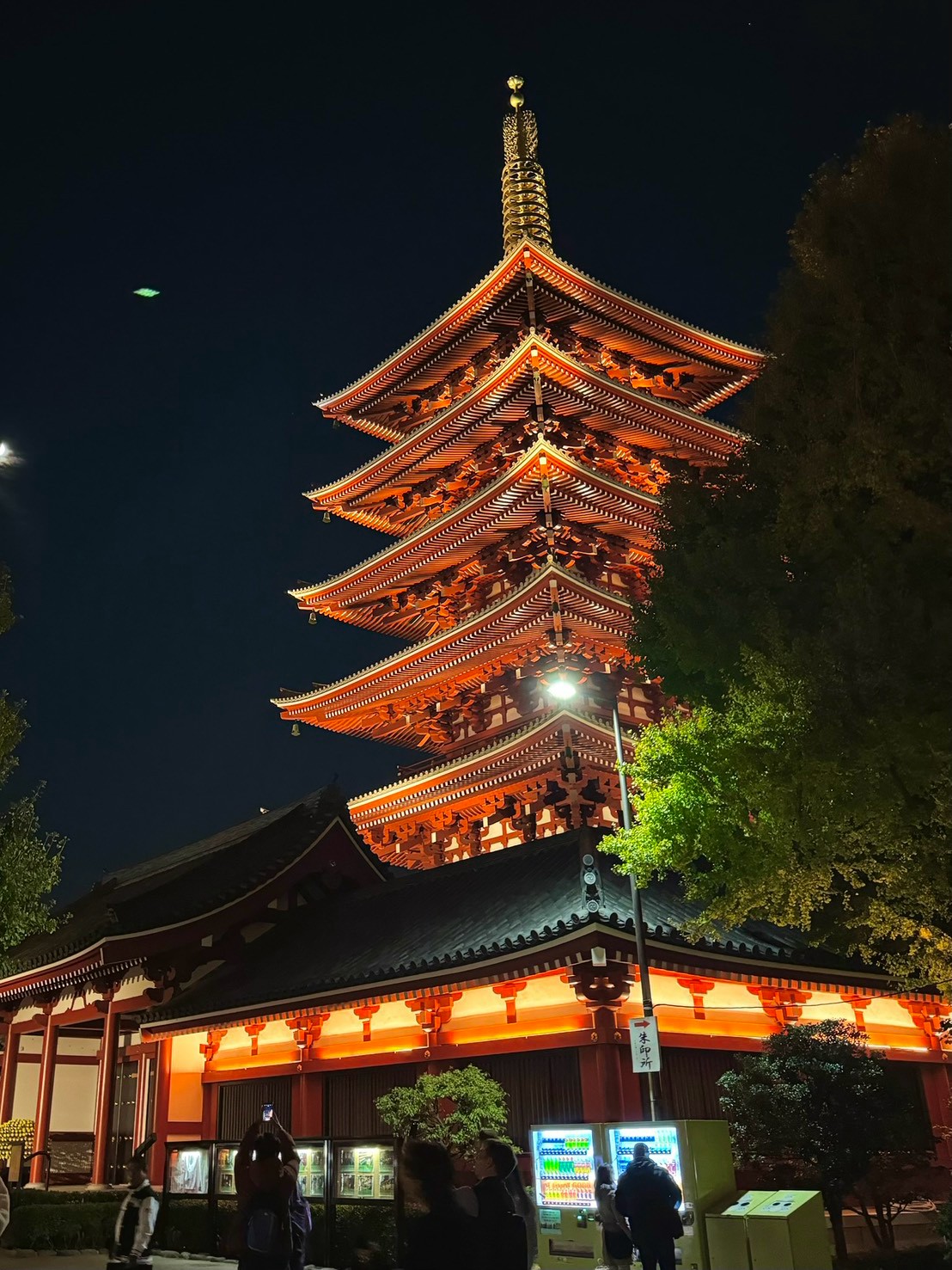 Tokyo After Dark Food Walk (4 hrs) – Private Guide & Photos